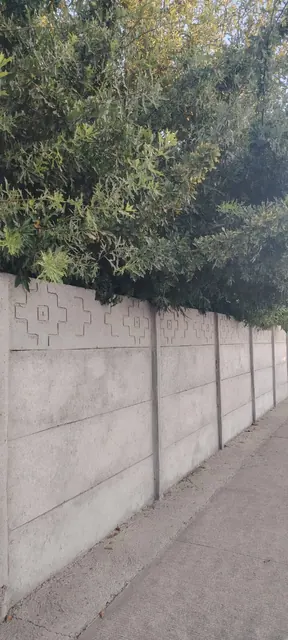 Pandereta decorativa bajo árboles junto a una vereda